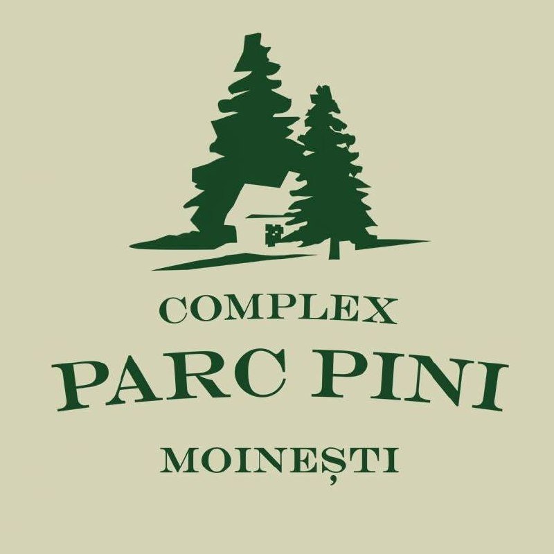 photo_5463174344856434133_x